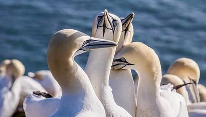 世界杯直播app官方下载安装中心-沈阳“战书”，收到回应了！