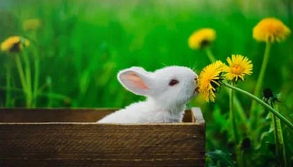 世界杯直播app官方下载安装中心-沈阳“战书”，收到回应了！